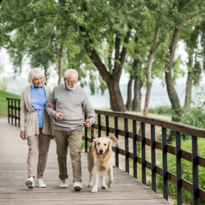 An elderly man and woman walk their dog.