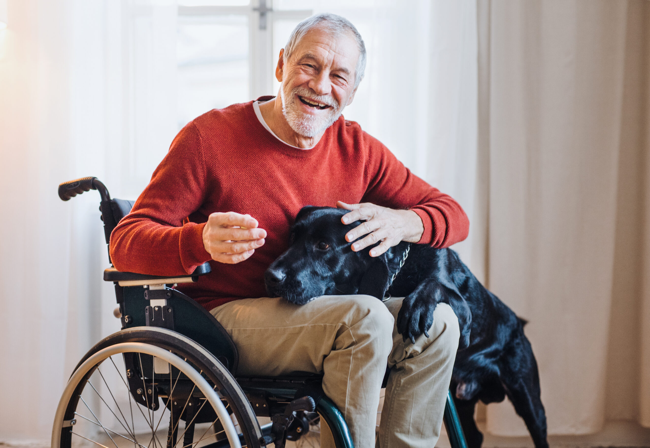 Disabled senior man doing pet therapy with a black dog
