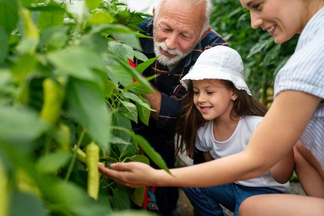 Grandfather showing his grandchildren gardening, one of the best family bonding activities